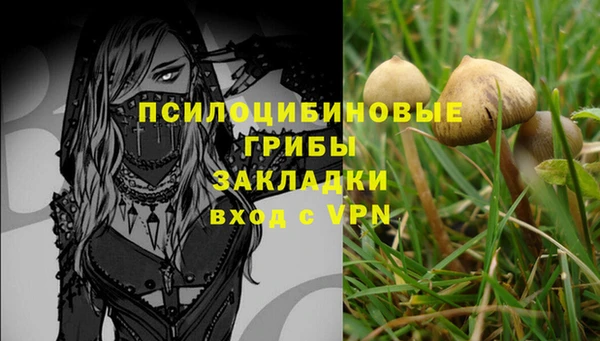 дмт Баксан